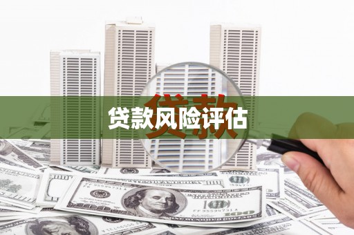 龙江贷款风险评估