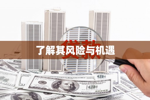 龙江了解其风险与机遇