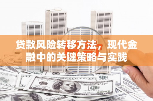 龙江贷款风险转移方法，现代金融中的关键策略与实践