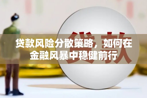 龙江贷款风险分散策略，如何在金融风暴中稳健前行