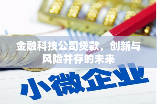 龙江金融科技公司贷款，创新与风险并存的未来