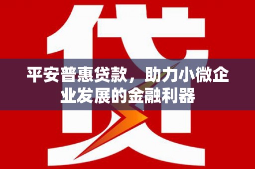 龙江平安普惠贷款，助力小微企业发展的金融利器