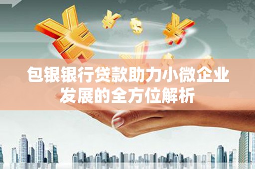 龙江包银银行贷款助力小微企业发展的全方位解析 龙江包银银行贷款助力小微企业发展的全方位解析
