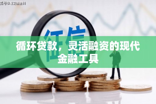 龙江循环贷款，灵活融资的现代金融工具