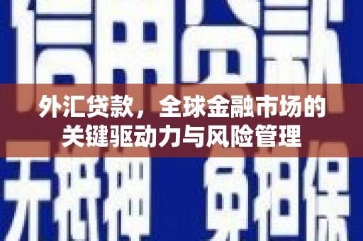 龙江外汇贷款，全球金融市场的关键驱动力与风险管理