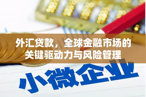 龙江外汇贷款，全球金融市场的关键驱动力与风险管理