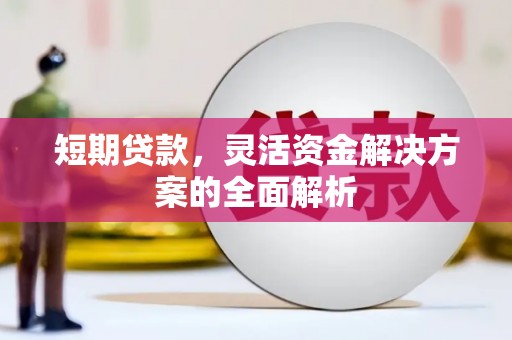 龙江短期贷款，灵活资金解决方案的全面解析