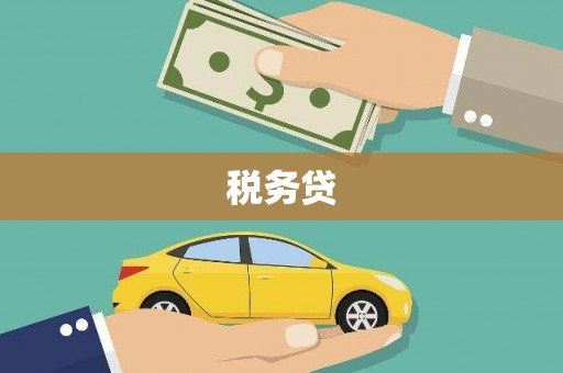 龙江税务贷