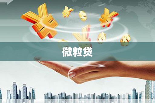龙江微粒贷