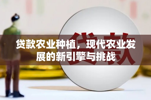 龙江贷款农业种植，现代农业发展的新引擎与挑战