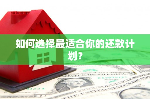 龙江如何选择最适合你的还款计划？