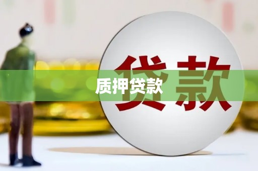 龙江质押贷款