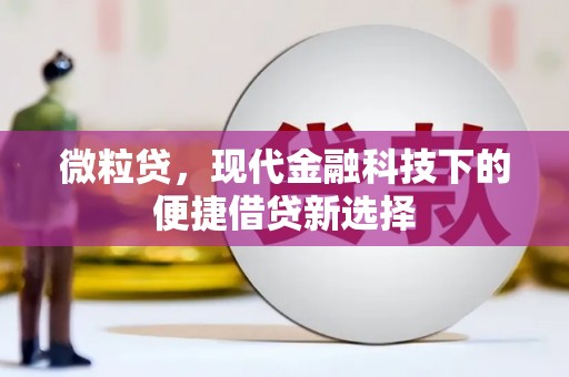 龙江微粒贷，现代金融科技下的便捷借贷新选择