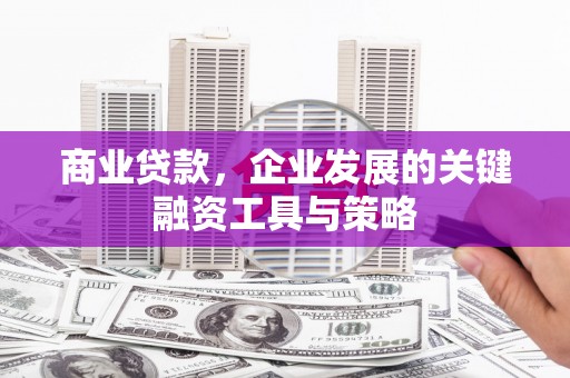 龙江商业贷款，企业发展的关键融资工具与策略