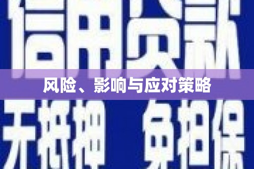 龙江风险、影响与应对策略