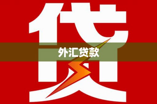 龙江外汇贷款
