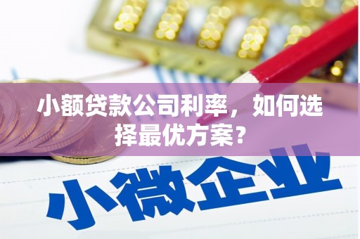 龙江小额贷款公司利率，如何选择最优方案？