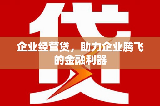 龙江企业经营贷，助力企业腾飞的金融利器