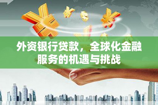 龙江外资银行贷款，全球化金融服务的机遇与挑战