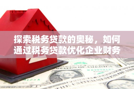 龙江探索税务贷款的奥秘，如何通过税务贷款优化企业财务