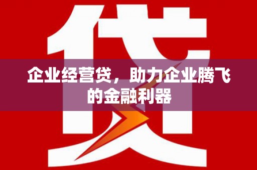 龙江企业经营贷，助力企业腾飞的金融利器