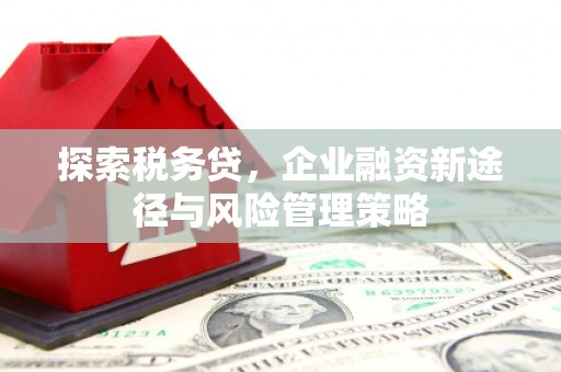 龙江探索税务贷，企业融资新途径与风险管理策略