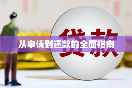 龙江从申请到还款的全面指南