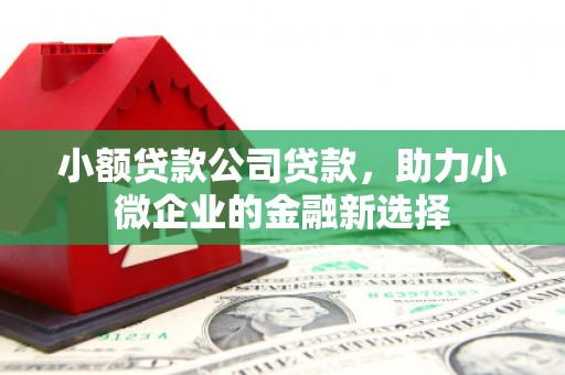 龙江小额贷款公司贷款，助力小微企业的金融新选择