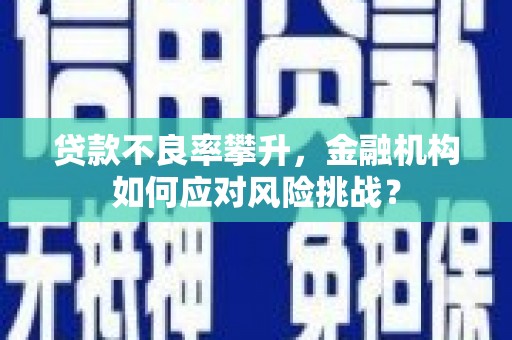 龙江贷款不良率攀升，金融机构如何应对风险挑战？