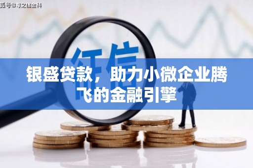龙江银盛贷款，助力小微企业腾飞的金融引擎