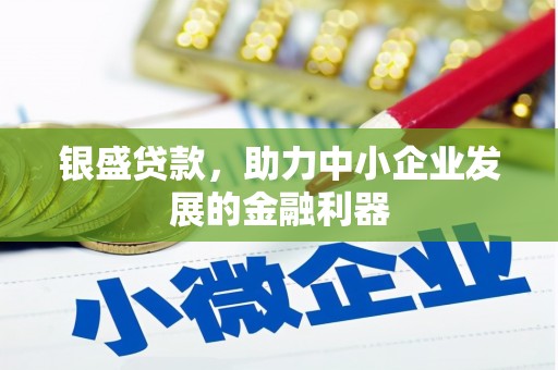 龙江银盛贷款，助力中小企业发展的金融利器