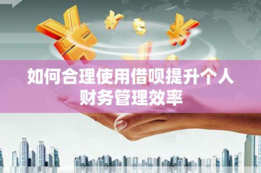 龙江如何合理使用借呗提升个人财务管理效率
