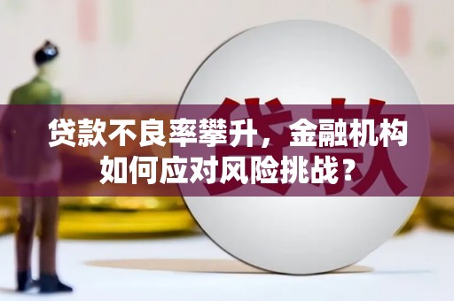 龙江贷款不良率攀升，金融机构如何应对风险挑战？