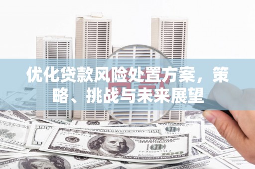 龙江优化贷款风险处置方案，策略、挑战与未来展望