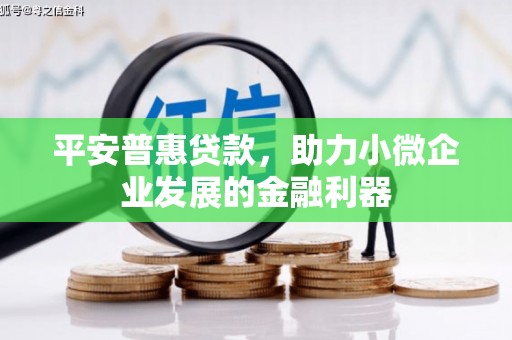 龙江平安普惠贷款，助力小微企业发展的金融利器