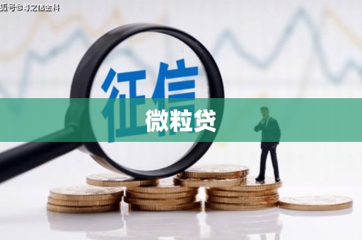 龙江微粒贷