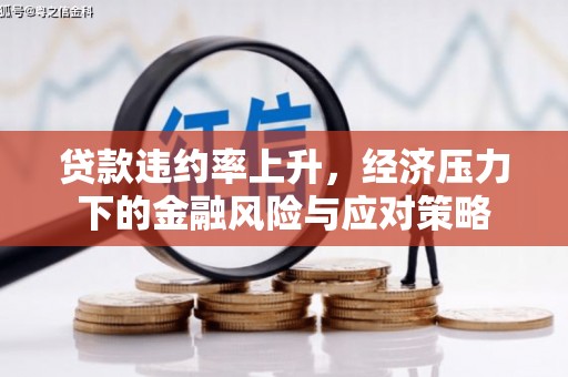 龙江贷款违约率上升，经济压力下的金融风险与应对策略