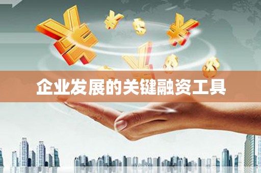 龙江企业发展的关键融资工具