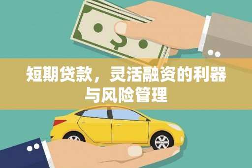 龙江短期贷款，灵活融资的利器与风险管理