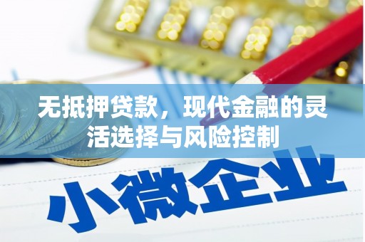 龙江无抵押贷款，现代金融的灵活选择与风险控制
