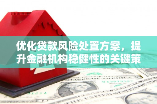 龙江优化贷款风险处置方案，提升金融机构稳健性的关键策略