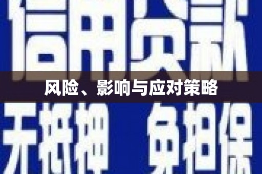 龙江风险、影响与应对策略