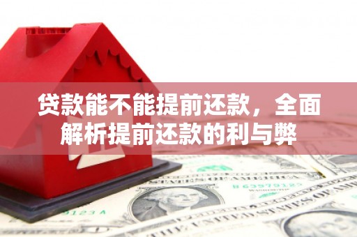 龙江贷款能不能提前还款，全面解析提前还款的利与弊