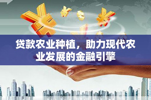 龙江贷款农业种植，助力现代农业发展的金融引擎