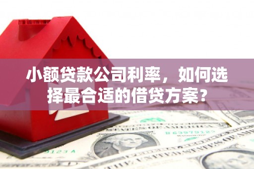 龙江小额贷款公司利率，如何选择最合适的借贷方案？