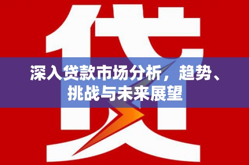 龙江深入贷款市场分析，趋势、挑战与未来展望