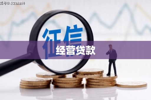 龙江经营贷款
