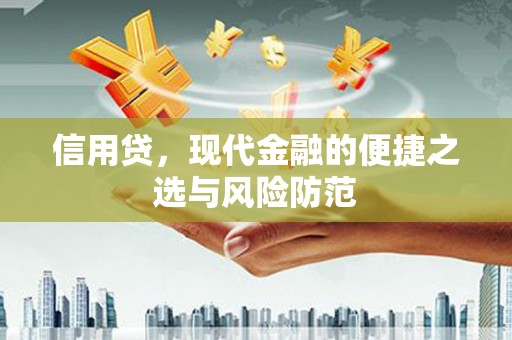 龙江信用贷，现代金融的便捷之选与风险防范