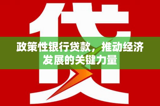龙江政策性银行贷款，推动经济发展的关键力量