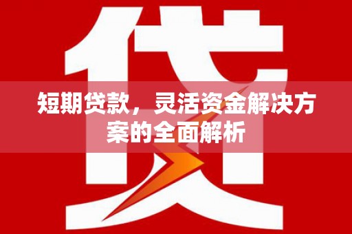 龙江短期贷款，灵活资金解决方案的全面解析